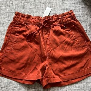 NWT Loft Shorts Size Small